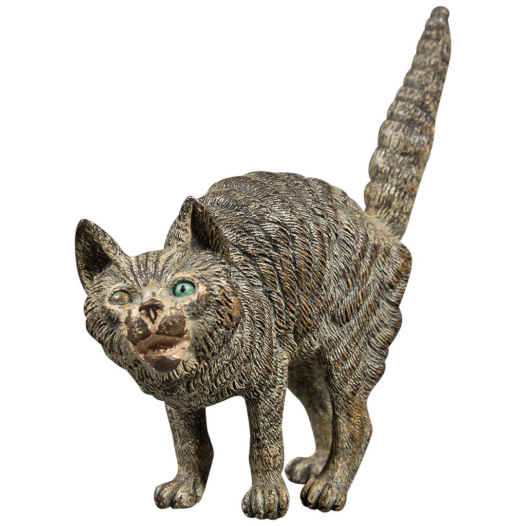 Unusual Antique Vienna Bronze "Terrified Cat" with Her Tail Pointing Up