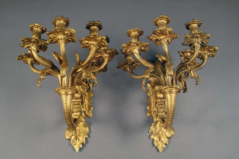 A Pair of very fine French Louis XV style Gilt-Bronze 5-light Wall Sconces with Lion Heads

Circa 1890

Origin: France

Depth: 17