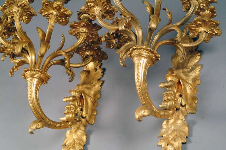 19th Century A Pair of French Louis XV style Gilt-Bronze 5-light Wall Sconces with Lion Heads