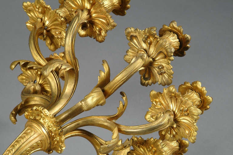 A Pair of French Louis XV style Gilt-Bronze 5-light Wall Sconces with Lion Heads 2