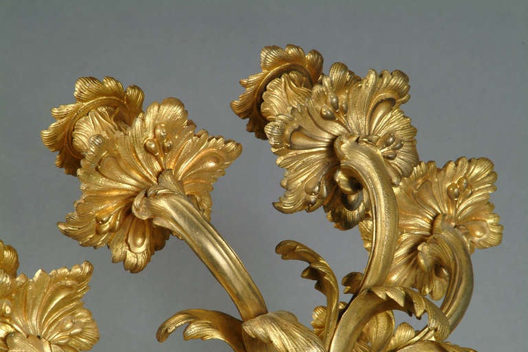 A Pair of French Louis XV style Gilt-Bronze 5-light Wall Sconces with Lion Heads 6