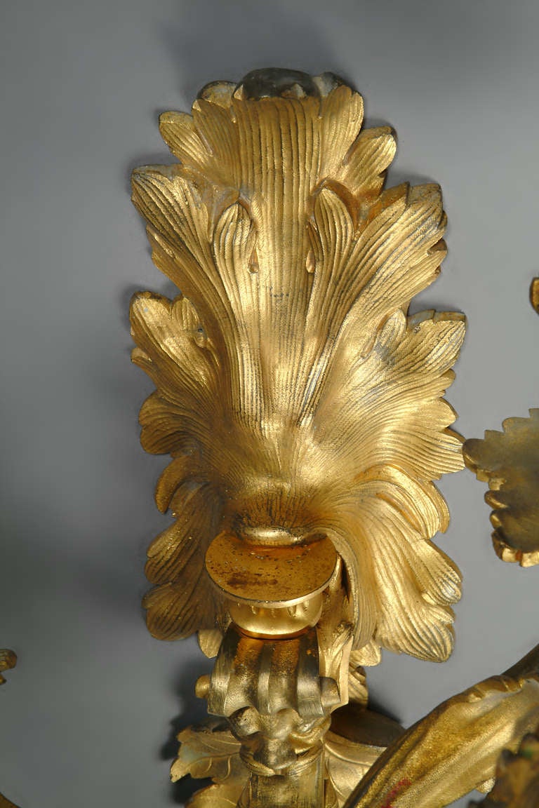 A Pair of French Louis XV style Gilt-Bronze 5-light Wall Sconces with Lion Heads 4