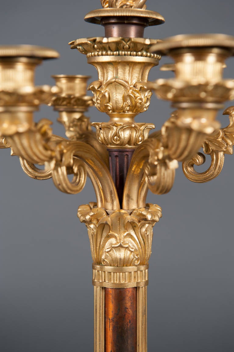 Paar französische, vergoldete Bronzekandelaber im Louis-XVI.-Stil des 19. Jahrhunderts (Französisch) im Angebot