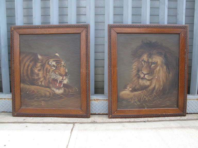 Pair of Oil Paintings depicting wild cats signed Jennie Briggs and dated 1906