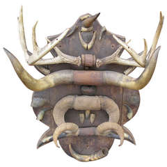 Antique Horn and Antler Trophy Mount