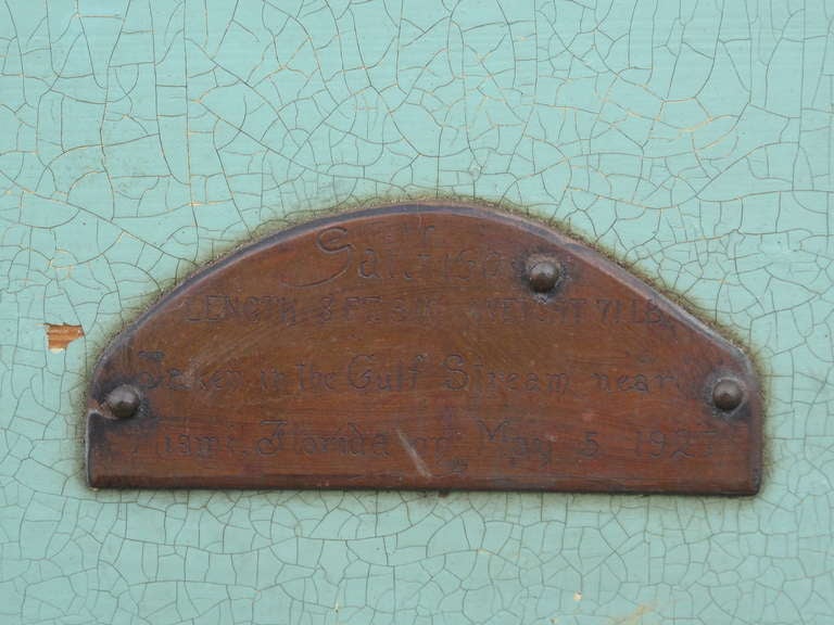 Sailfish Taxidermy Mounted on Painted Wood Plaque, 1920s In Fair Condition In Brooklyn, NY
