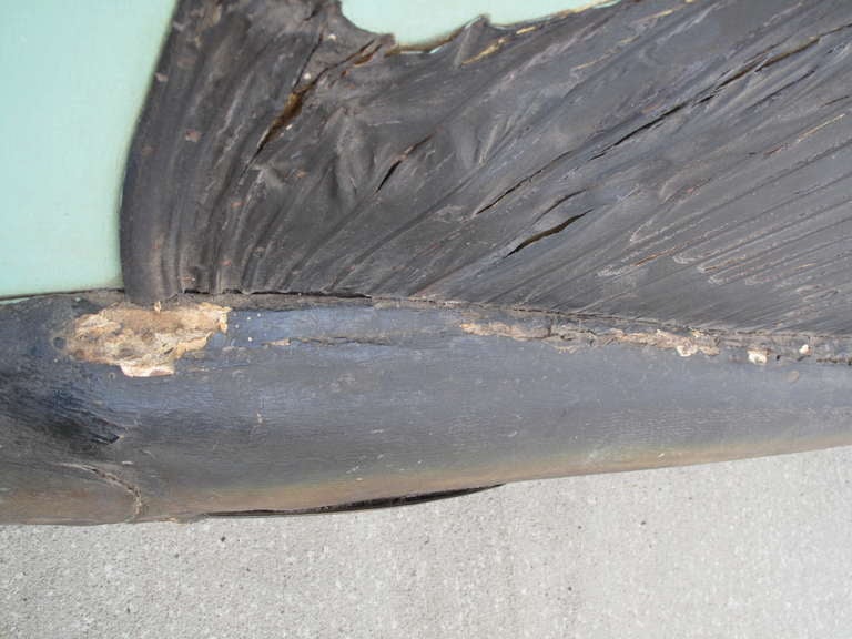 20th Century Sailfish Taxidermy Mounted on Painted Wood Plaque, 1920s
