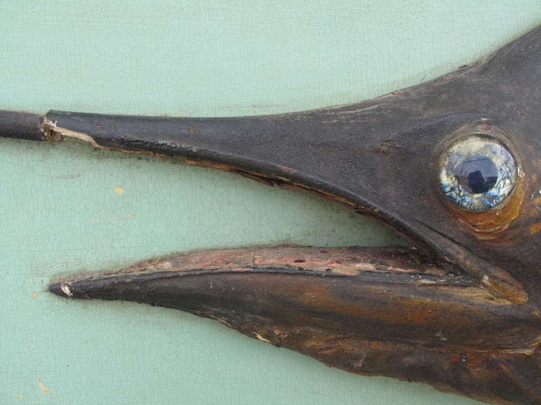 Sailfish Taxidermy Mounted on Painted Wood Plaque, 1920s 1