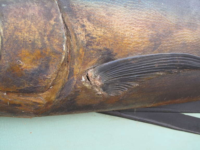 Sailfish Taxidermy Mounted on Painted Wood Plaque, 1920s 2
