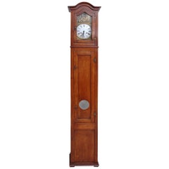 19th Century French Country Long Case Clock
