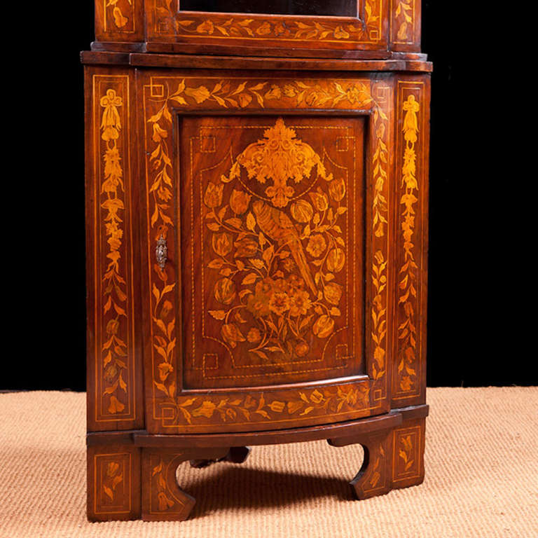 Dutch corner cabinet in mahogany with satinwood marquetry, circa 1800. The inlays in satinwood have a tropical theme. A parrot graces the center of the lower door panel surrounded by flowers and lush foliage.

We can ship this corner cabinet