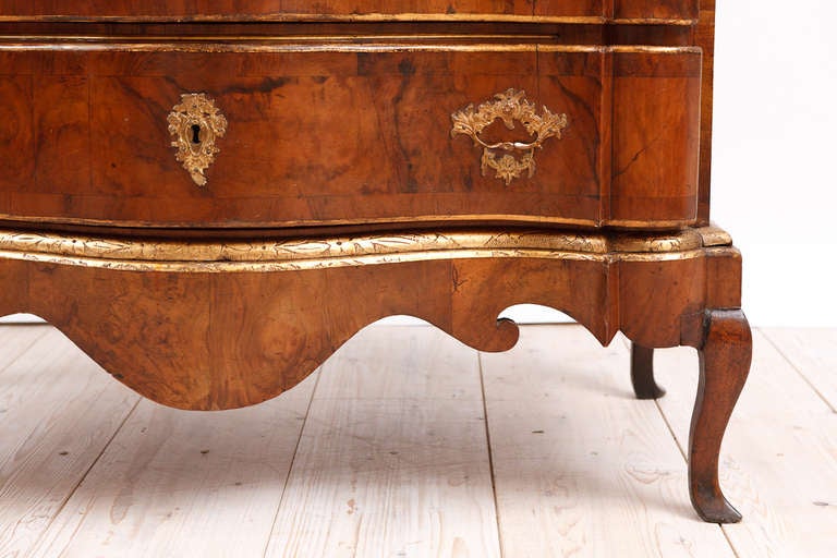 18th Century Baroque Chest of Drawers in Burl Walnut with Embossed Gilding In Good Condition For Sale In Miami, FL