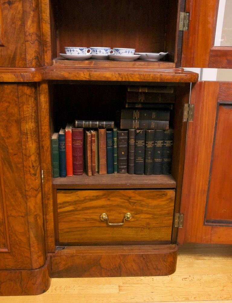 Long English Regency Bookcase / Vitrine in a Light Burled Walnut , circa 1835 1