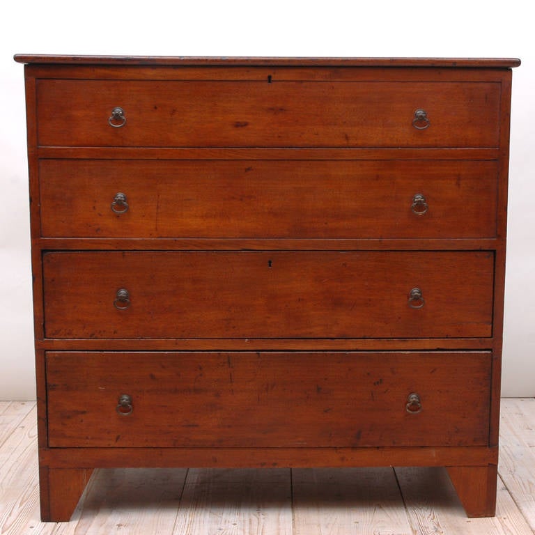 An English Mule Chest