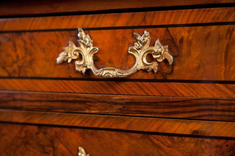 19th Century Antique Swedish Chest of Drawers in Walnut & Burled Walnut with Ebonized details For Sale
