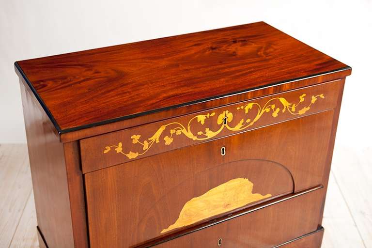 Danish Empire Small Chest of Drawers with Satinwood Inlays of Resting Lion In Good Condition In Miami, FL