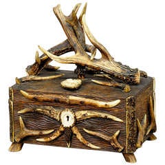 Antique Black Forest Carved Wood Antler Casket