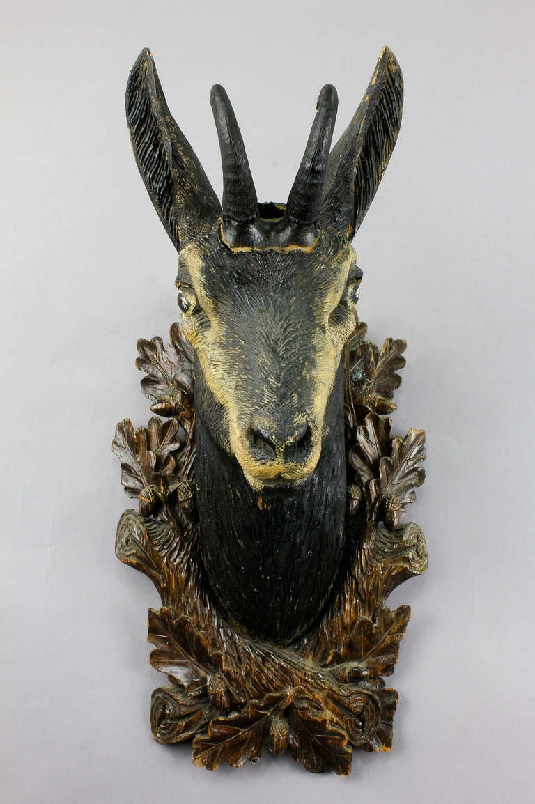 Rustic Superb Carved Wood Chamois Head by Eduard Heissl
