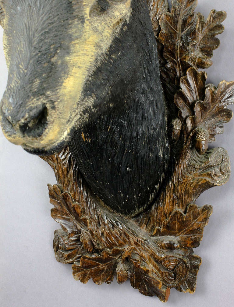 Superb Carved Wood Chamois Head by Eduard Heissl In Good Condition In Berghuelen, DE
