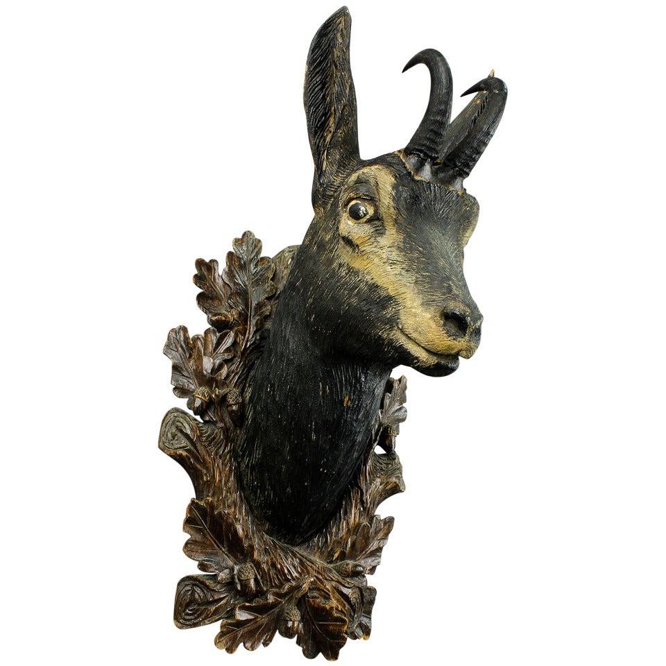 Superb Carved Wood Chamois Head by Eduard Heissl