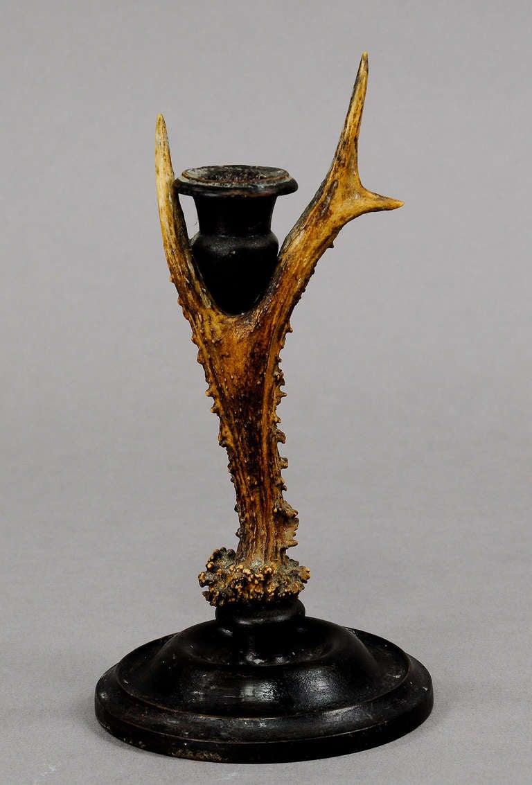 A very decorative Black Forest candleholder. Made of a roebuck Horn and black turned wood base. executed in Germany, circa 1880.