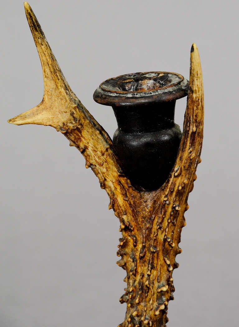 German Antique Black Forest Antler Candleholder, circa 1880