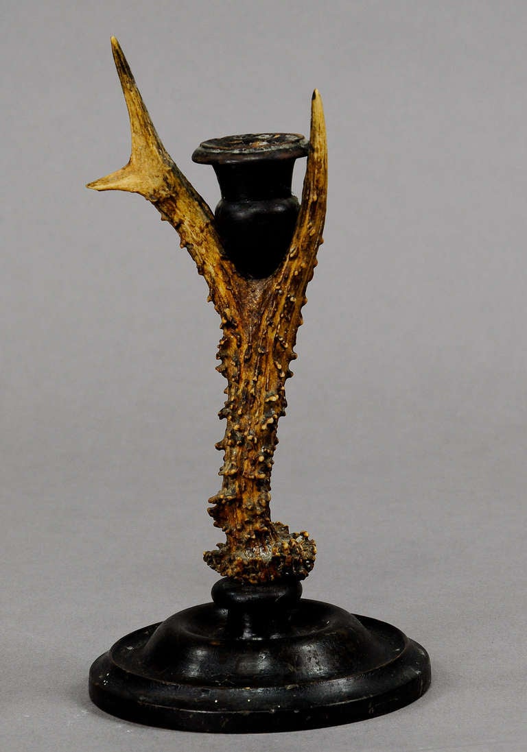 Antique Black Forest Antler Candleholder, circa 1880 In Excellent Condition In Berghuelen, DE