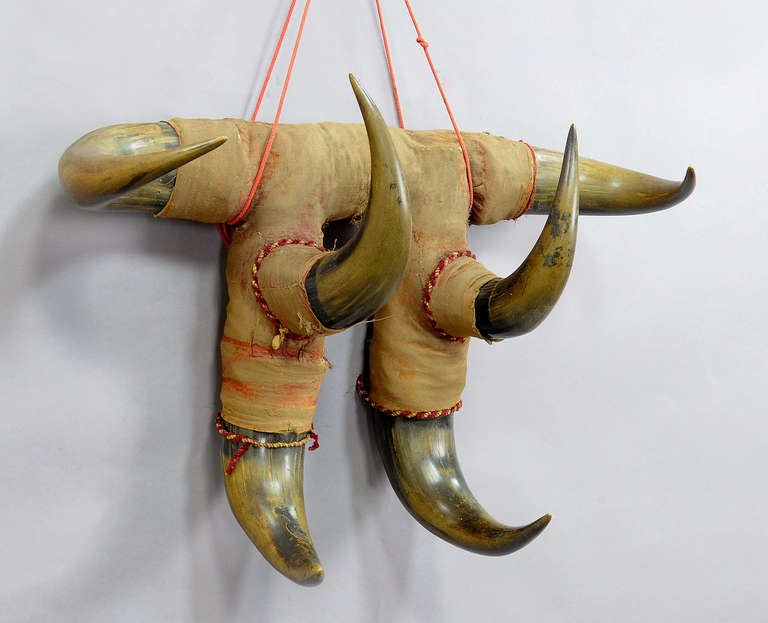 An antique rustic bull Horn coat rack or hat rack, from a noble villa in austria. executed, circa 1870.