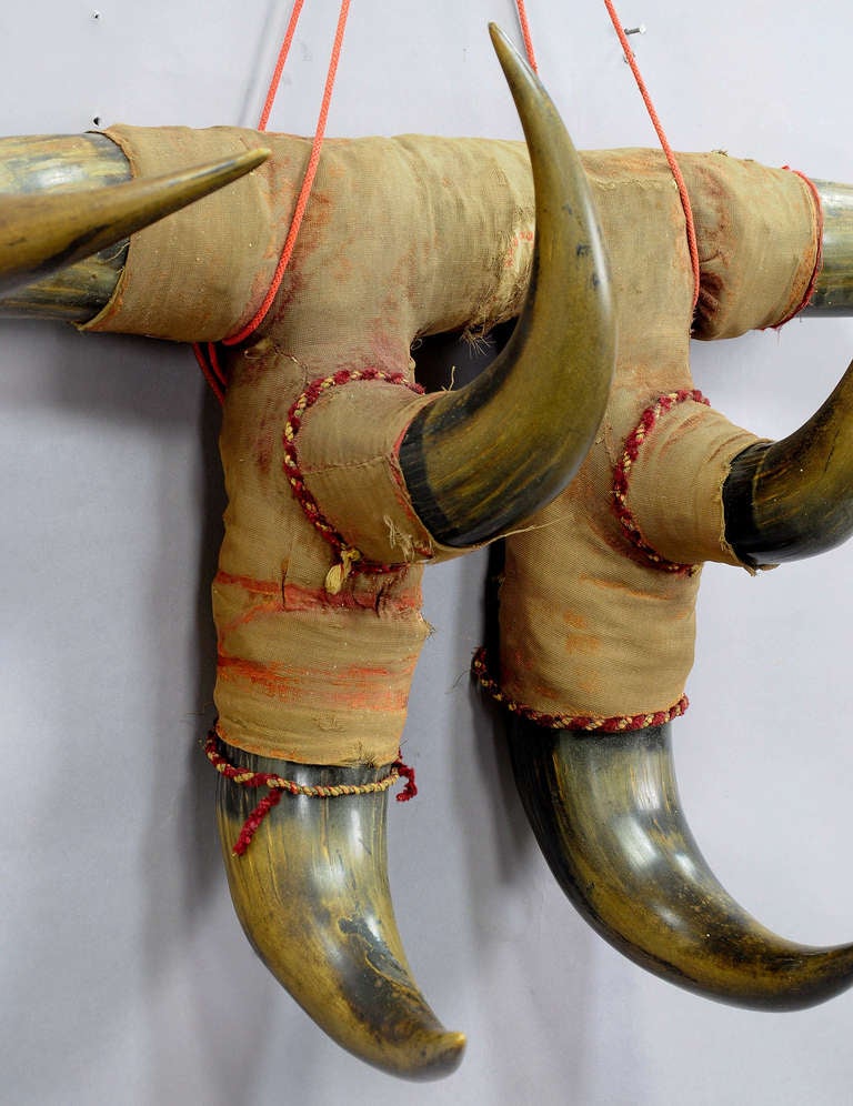Austrian 19th Century Bull Horn Coat Rack, Austria