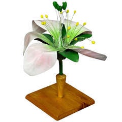 Biology School Model of the Apple Blossom by Somso