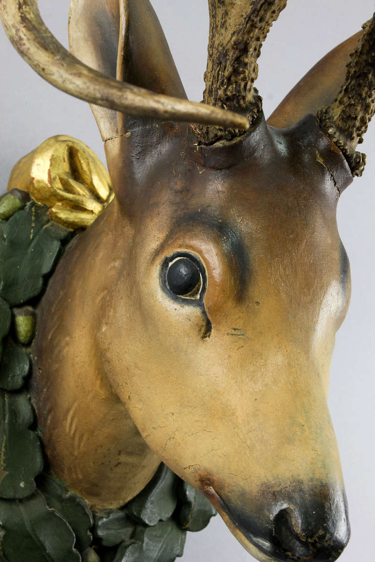 Black Forest Carved Wood Sika Deer Head circa 1920 In Good Condition In Berghuelen, DE