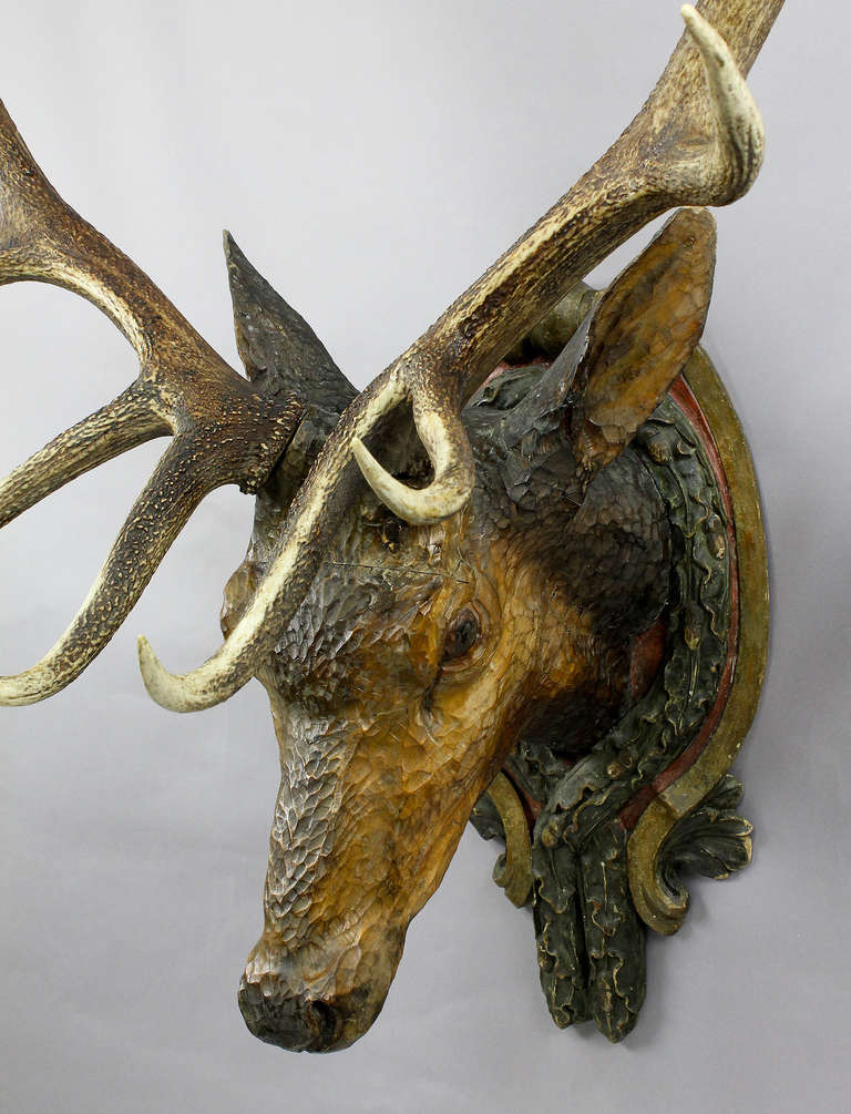 real stag head