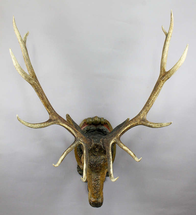 an antique, livesize black forest stag head with real antlers. carved in naturalistic style, mounted on a baroque style plaque, ca. 1900.