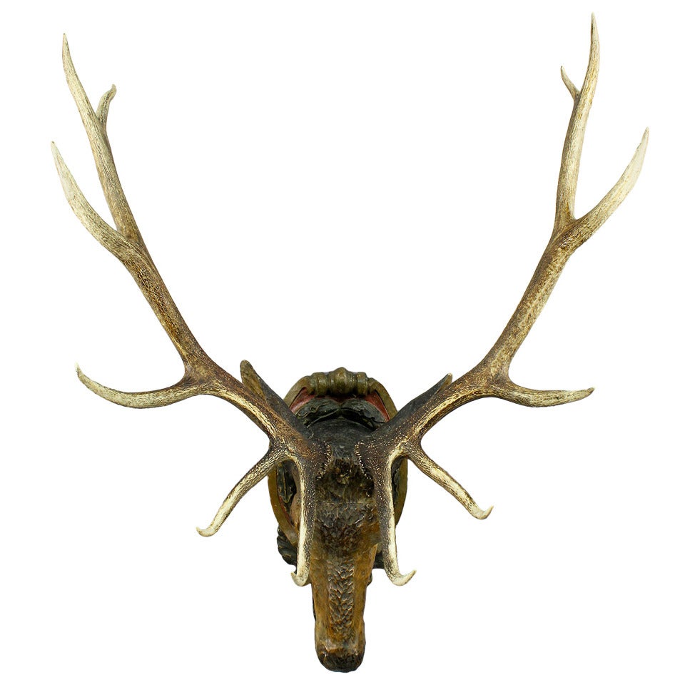 Tête de cerf en bois sculptée avec de grands bois véritables
