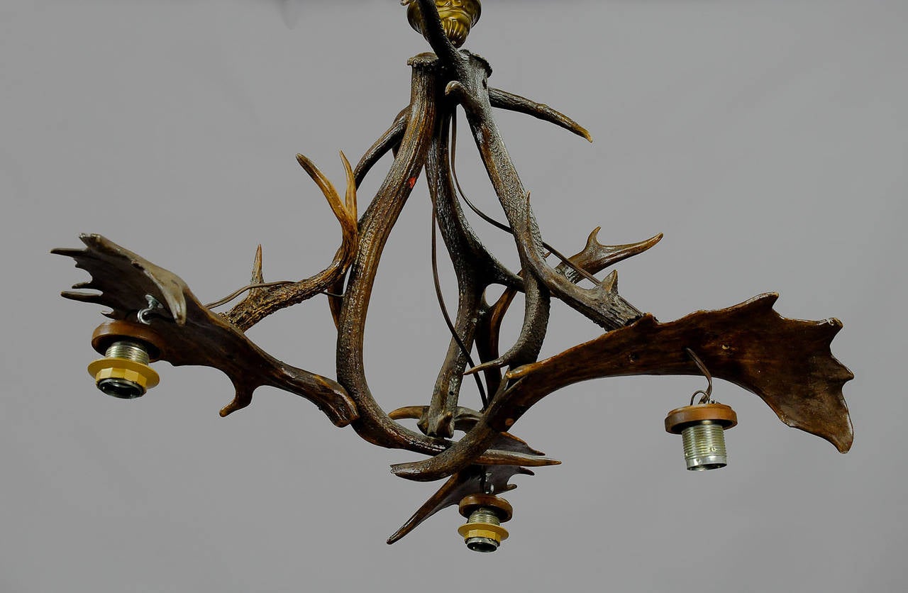 Vintage Antler Chandelier