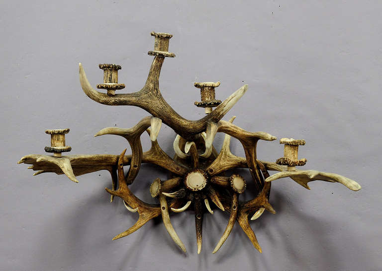 Decorative sconce or wall candelabra made of antlers from the deer, fallow deer and wild boar tusks. For five candles. Manufactured in Germany, circa 1900.