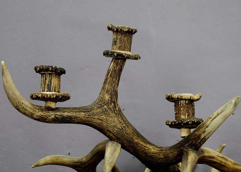Large Black Forest Antler Sconce for Five Candles In Excellent Condition In Berghuelen, DE