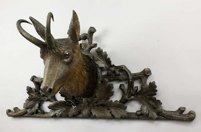 a large handcarved wood chamois head with original horns and glass eyes. mounted on a floral carved wood plaque (probably an attachment to a furniture), executed ca. 1900.