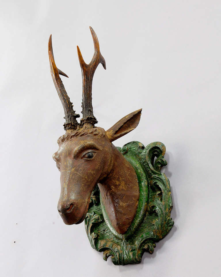 a handcarved wooden roe deer head with original antlers, mounted on a carved wood plaque. executed ca. 1760.