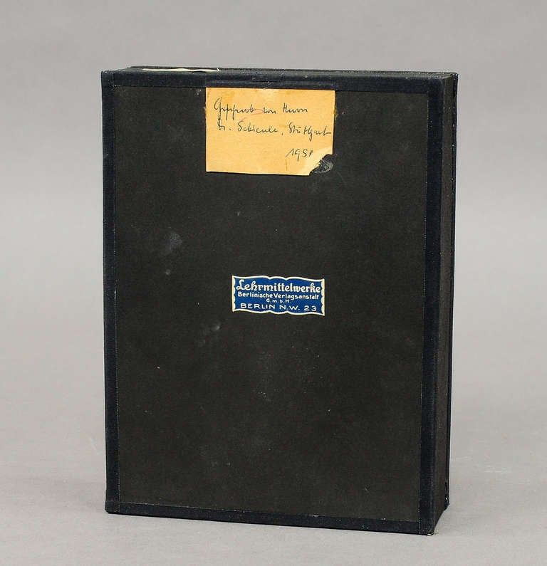 antique teaching aid wax anatomical head model at 1stdibs