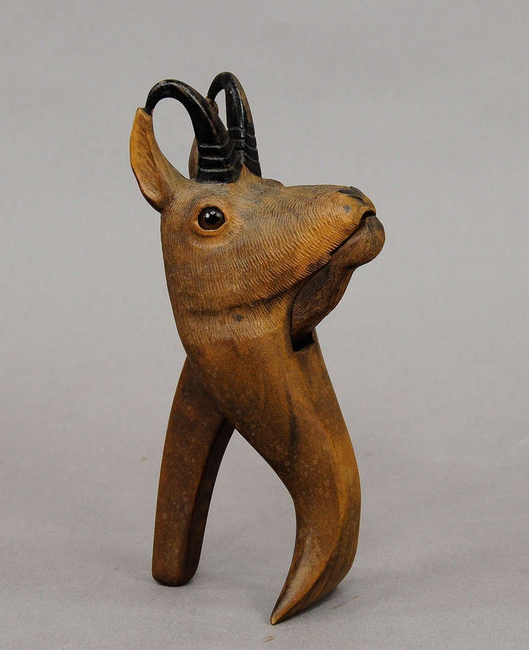 a wooden carved chamois head nutcracker, with glass eyes. executed in Brienz, ca. 1920.