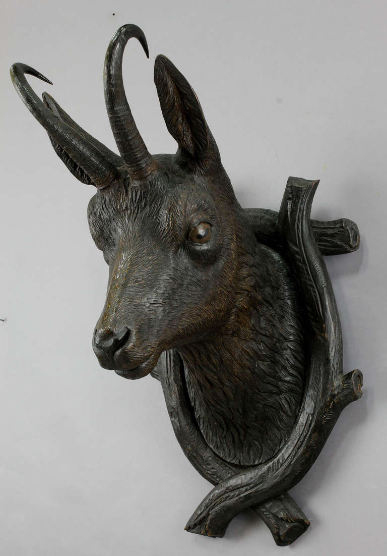 Carved Wood Chamois Head