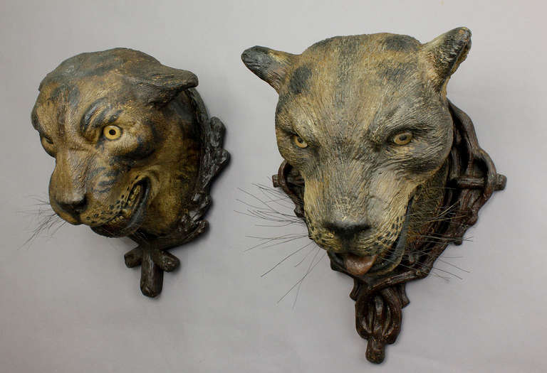 An outstanding pair of handcrafted and painted leopard heads, handmade of wood and modeling compound, Austria, circa 1890.