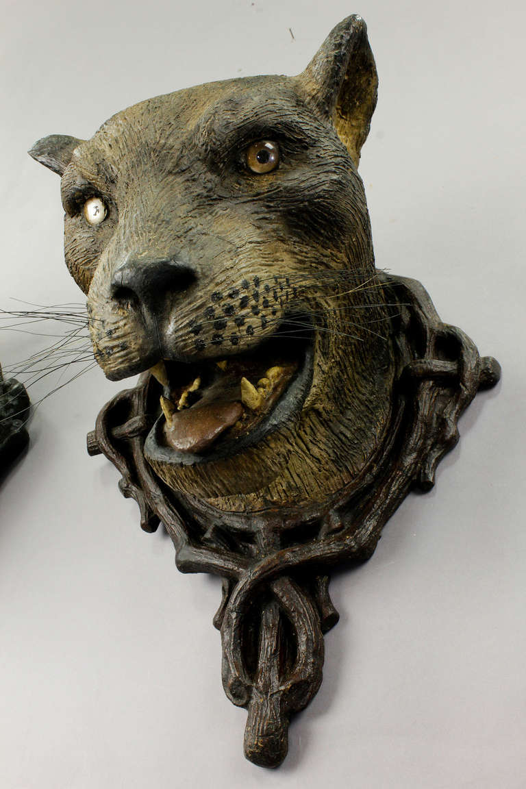 Wood Gorgeous Pair of Leopard Heads