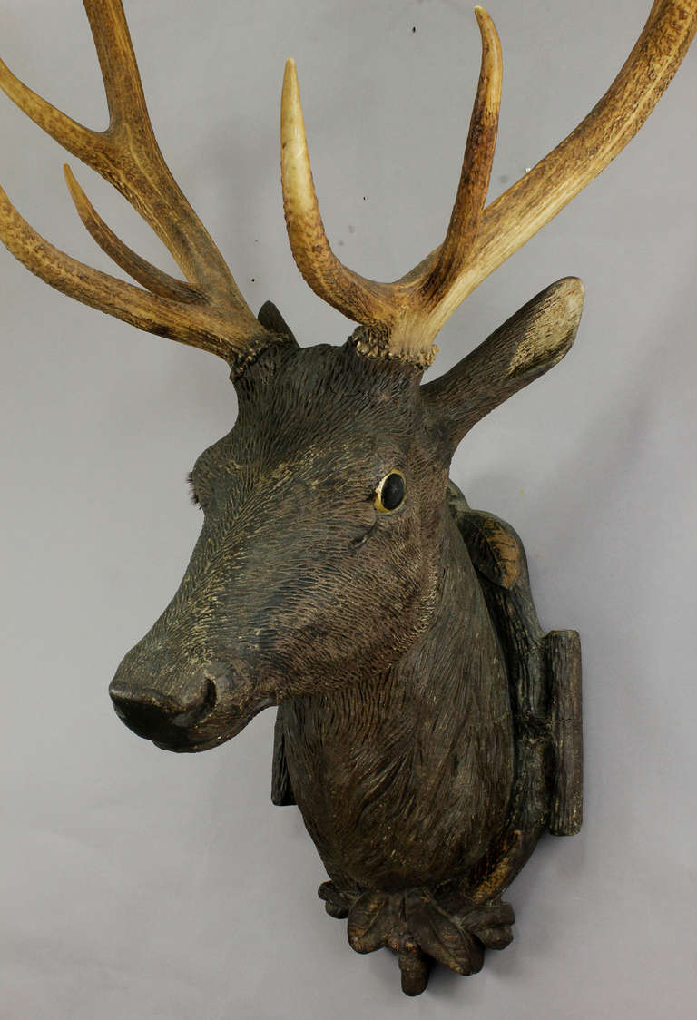 an impressive carved stag head with real antlers - hollow worked wood and plaster. width ear to ear 12.2