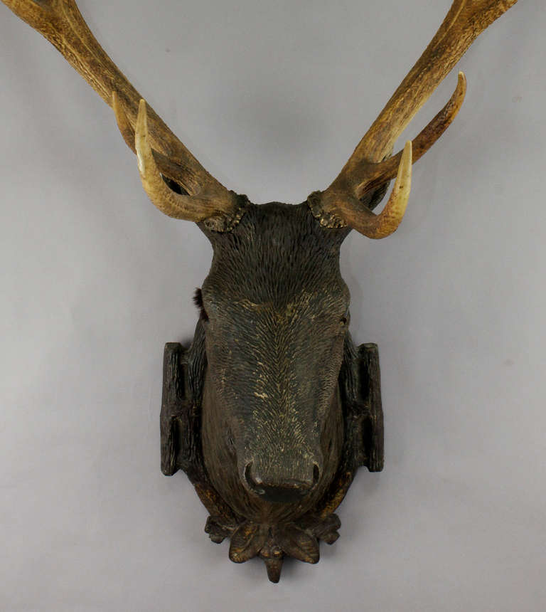 Black Forest Wooden Carved Stag Head Ca. 1900 In Good Condition In Berghuelen, DE