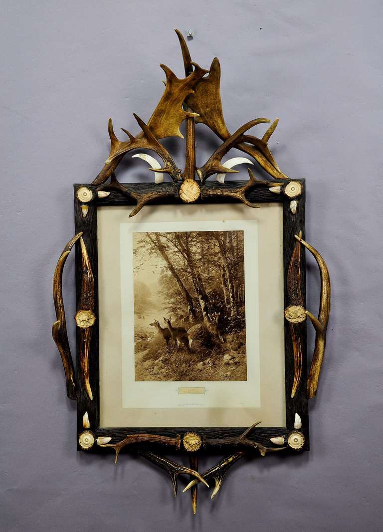 a large antique black forest antler picture frame. carved wood frame decorated with antlers from the deer and fallow deer, wild boar tusks and grandiose carved horn roses. print by johann christian kröner (1838-1911), german animal- and landscape