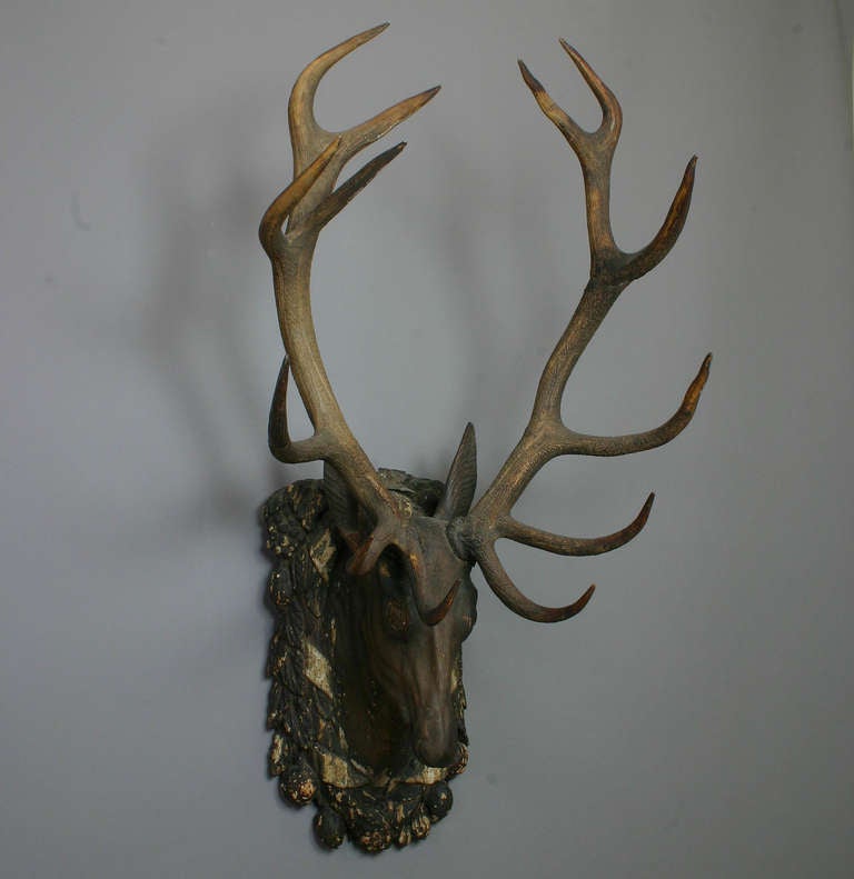 A very early and rare stag head, made of hand-carved wood, covered with stucco and painted. With original antlers. Mounted on a carved wood plaque, also covered with stucco. Executed, circa 1700.