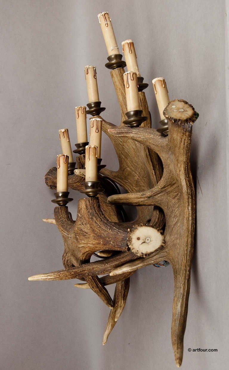 Large Antique Black Forest Elk Horn Sconce Circa 1900 at 1stdibs