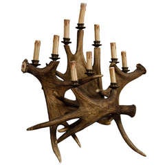 Large Antique Black Forest Elk Horn Sconce Circa 1900